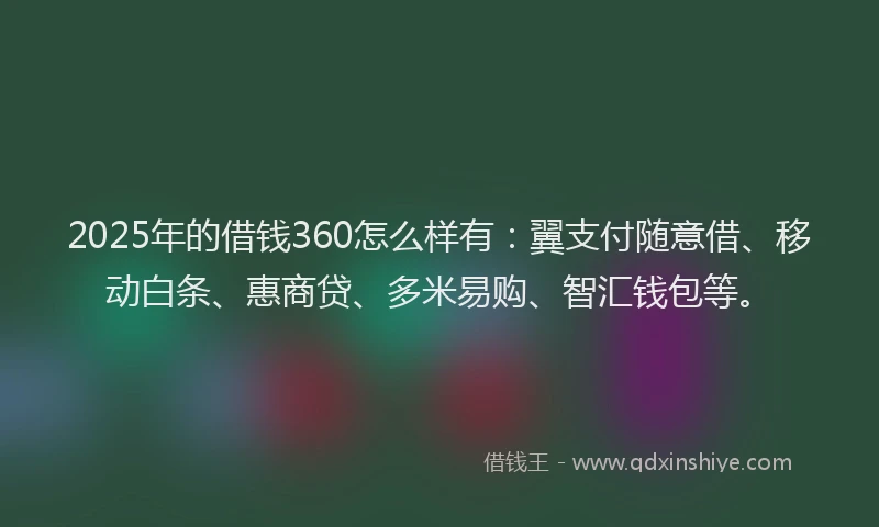 2025年的借钱360怎么样有：翼支付随意借、移动白条、惠商贷、多米易购、智汇钱包等。