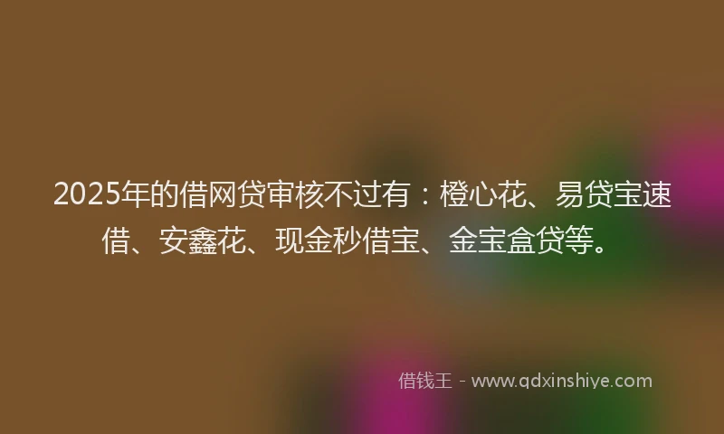 2025年的借网贷审核不过有：橙心花、易贷宝速借、安鑫花、现金秒借宝、金宝盒贷等。