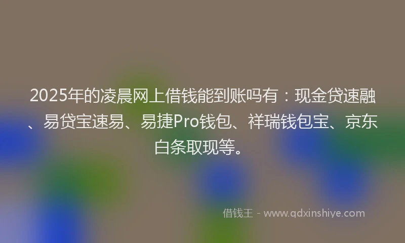 2025年的凌晨网上借钱能到账吗有：现金贷速融、易贷宝速易、易捷Pro钱包、祥瑞钱包宝、京东白条取现等。