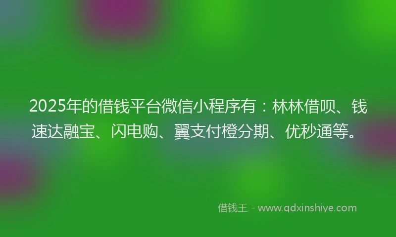 2025年的借钱平台微信小程序有：林林借呗、钱速达融宝、闪电购、翼支付橙分期、优秒通等。