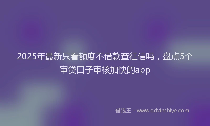 2025年最新只看额度不借款查征信吗，盘点5个审贷口子审核加快的app