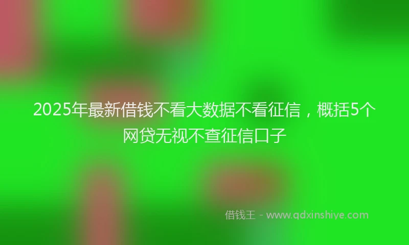 2025年最新借钱不看大数据不看征信，概括5个网贷无视不查征信口子