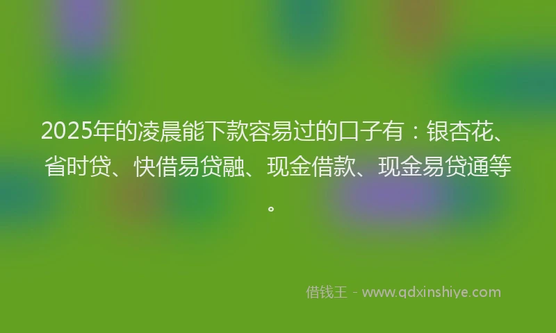 2025年的凌晨能下款容易过的口子有：银杏花、省时贷、快借易贷融、现金借款、现金易贷通等。