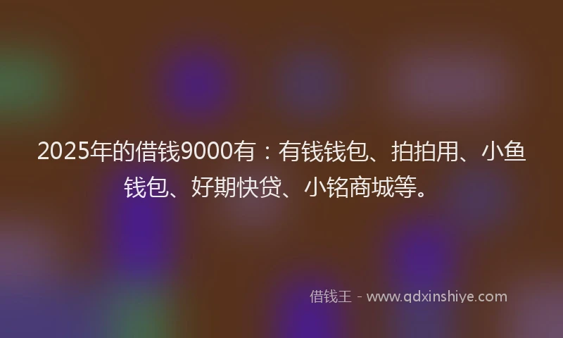 2025年的借钱9000有：有钱钱包、拍拍用、小鱼钱包、好期快贷、小铭商城等。