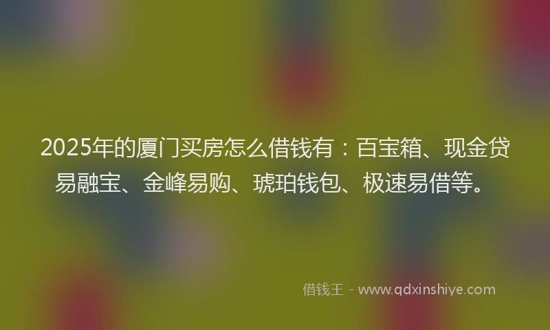 2025年的厦门买房怎么借钱有：百宝箱、现金贷易融宝、金峰易购、琥珀钱包、极速易借等。