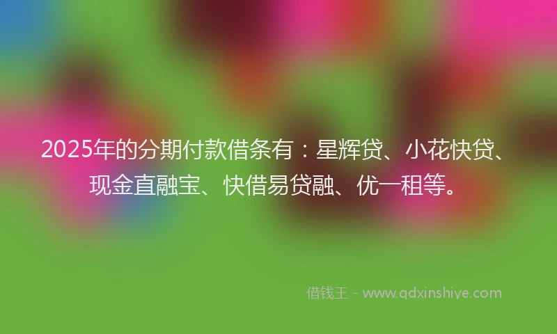 2025年的分期付款借条有：星辉贷、小花快贷、现金直融宝、快借易贷融、优一租等。