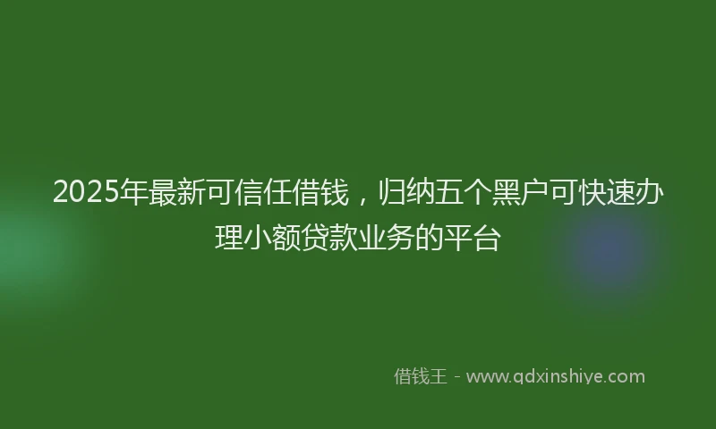 2025年最新可信任借钱，归纳五个黑户可快速办理小额贷款业务的平台