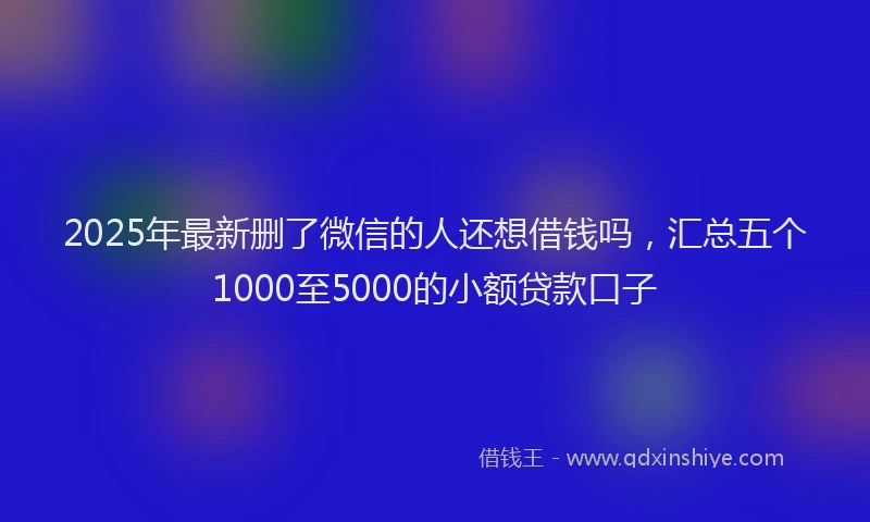 2025年最新删了微信的人还想借钱吗，汇总五个1000至5000的小额贷款口子