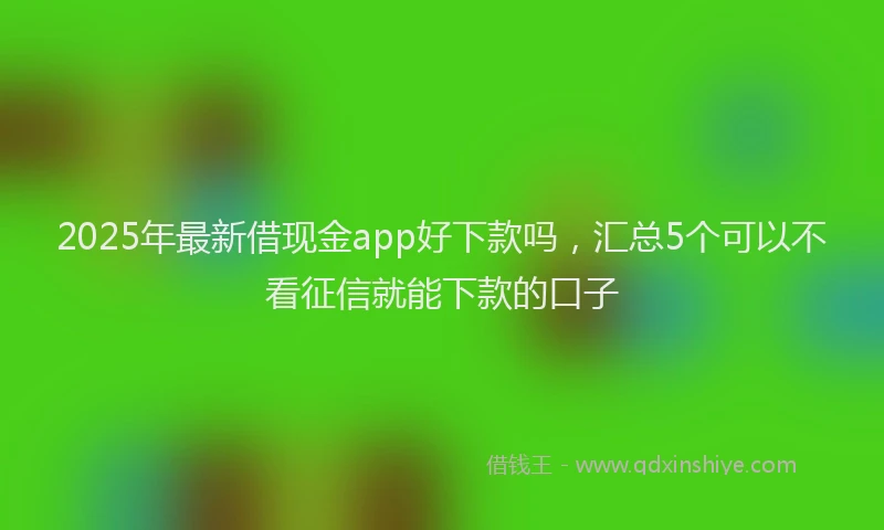 2025年最新借现金app好下款吗，汇总5个可以不看征信就能下款的口子