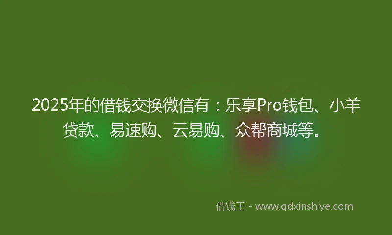 2025年的借钱交换微信有：乐享Pro钱包、小羊贷款、易速购、云易购、众帮商城等。