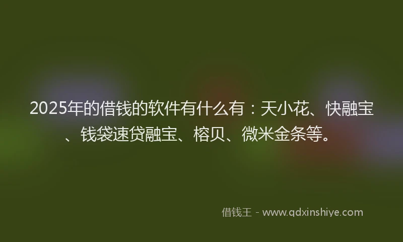 2025年的借钱的软件有什么有：天小花、快融宝、钱袋速贷融宝、榕贝、微米金条等。