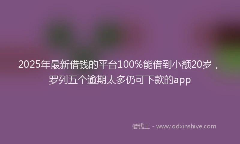2025年最新借钱的平台100%能借到小额20岁，罗列五个逾期太多仍可下款的app