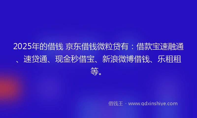 2025年的借钱 京东借钱微粒贷有：借款宝速融通、速贷通、现金秒借宝、新浪微博借钱、乐租租等。