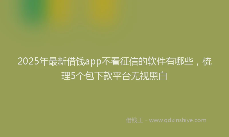 2025年最新借钱app不看征信的软件有哪些，梳理5个包下款平台无视黑白