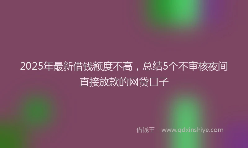 2025年最新借钱额度不高，总结5个不审核夜间直接放款的网贷口子