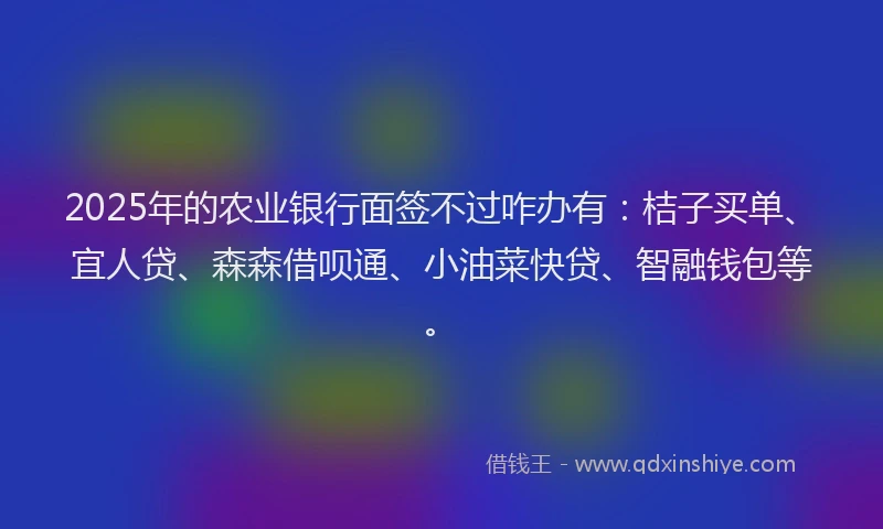 2025年的农业银行面签不过咋办有：桔子买单、宜人贷、森森借呗通、小油菜快贷、智融钱包等。