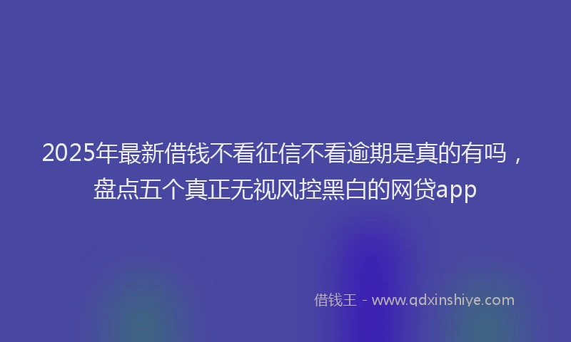 2025年最新借钱不看征信不看逾期是真的有吗，盘点五个真正无视风控黑白的网贷app