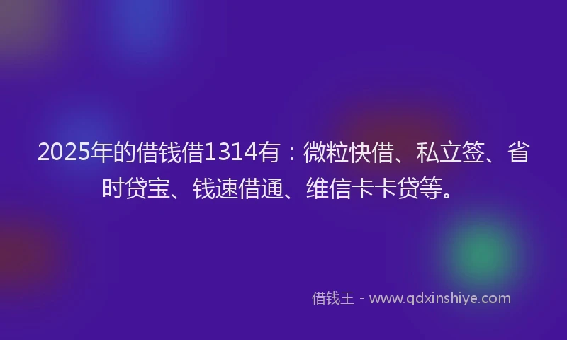 2025年的借钱借1314有：微粒快借、私立签、省时贷宝、钱速借通、维信卡卡贷等。