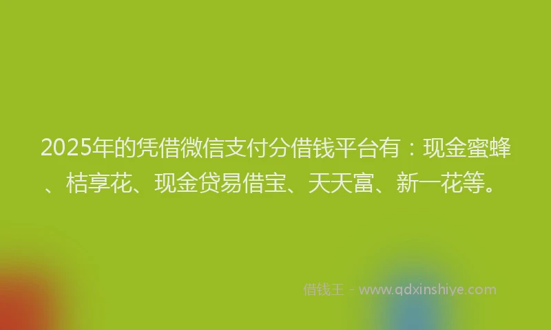 2025年的凭借微信支付分借钱平台有：现金蜜蜂、桔享花、现金贷易借宝、天天富、新一花等。