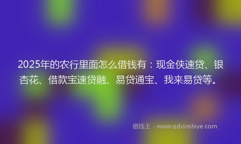 2025年的农行里面怎么借钱有：现金侠速贷、银杏花、借款宝速贷融、易贷通宝、我来易贷等。