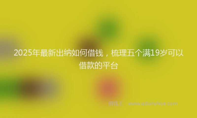 2025年最新出纳如何借钱,梳理五个满19岁可以借款的平台