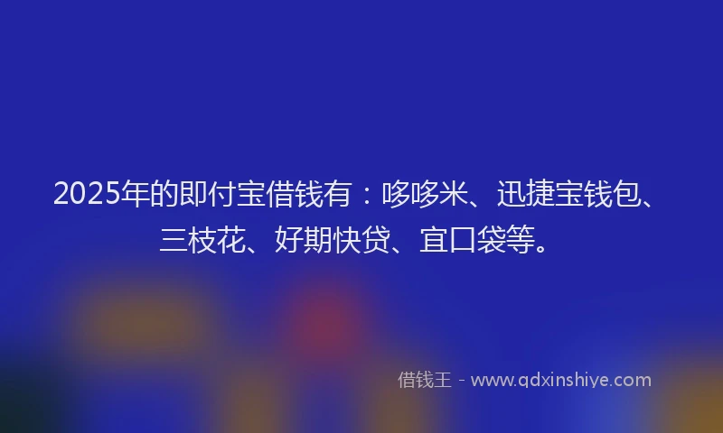 2025年的即付宝借钱有：哆哆米、迅捷宝钱包、三枝花、好期快贷、宜口袋等。