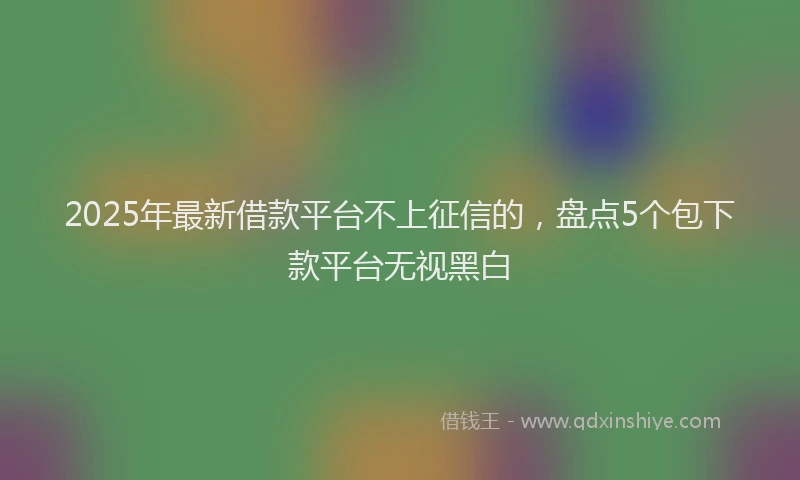 2025年最新借款平台不上征信的，盘点5个包下款平台无视黑白