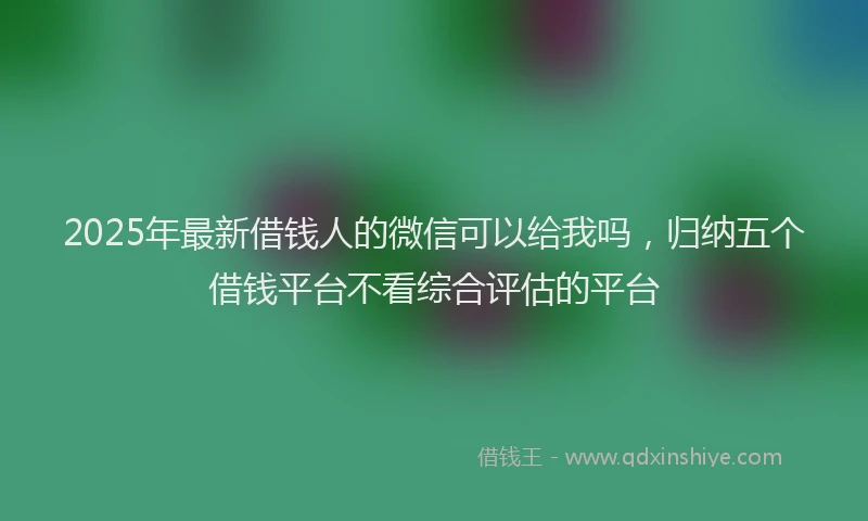 2025年最新借钱人的微信可以给我吗，归纳五个借钱平台不看综合评估的平台