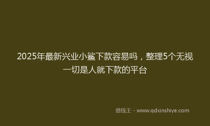 2025年最新兴业小鲨下款容易吗，整理5个无视一切是人就下款的平台