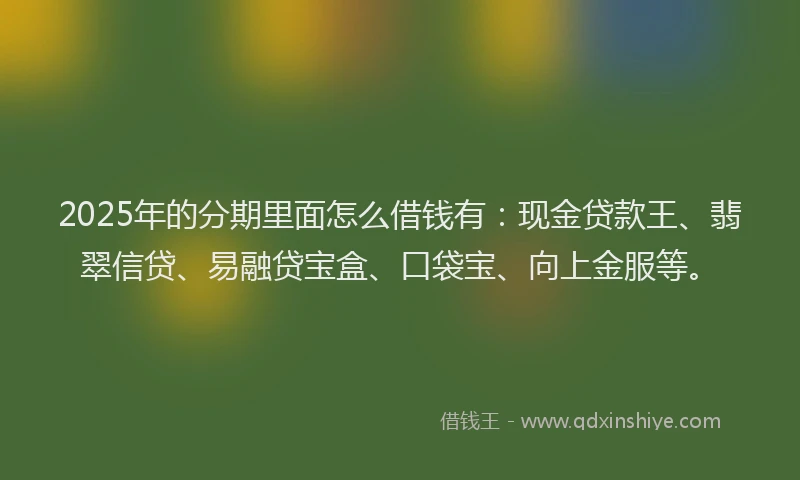 2025年的分期里面怎么借钱有：现金贷款王、翡翠信贷、易融贷宝盒、口袋宝、向上金服等。
