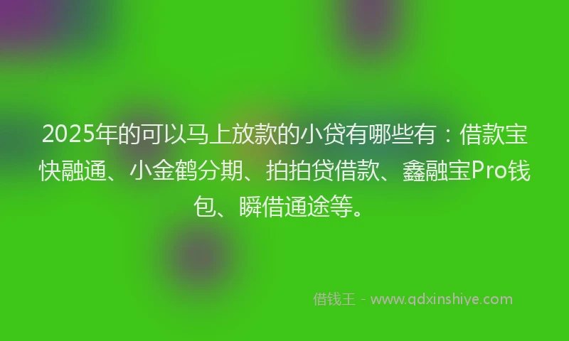 2025年的可以马上放款的小贷有哪些有：借款宝快融通、小金鹤分期、拍拍贷借款、鑫融宝Pro钱包、瞬借通途等。
