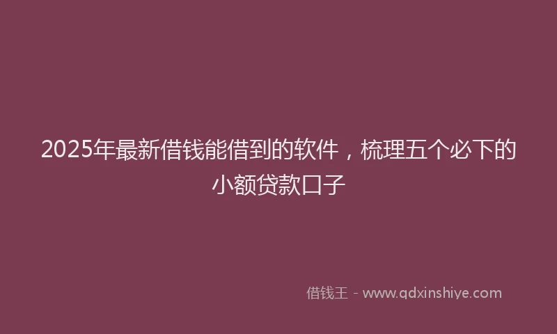 2025年最新借钱能借到的软件，梳理五个必下的小额贷款口子