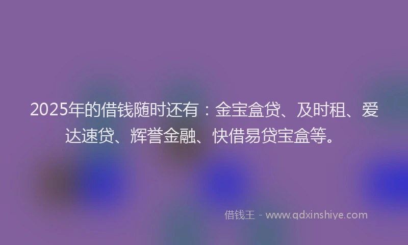 2025年的借钱随时还有：金宝盒贷、及时租、爱达速贷、辉誉金融、快借易贷宝盒等。