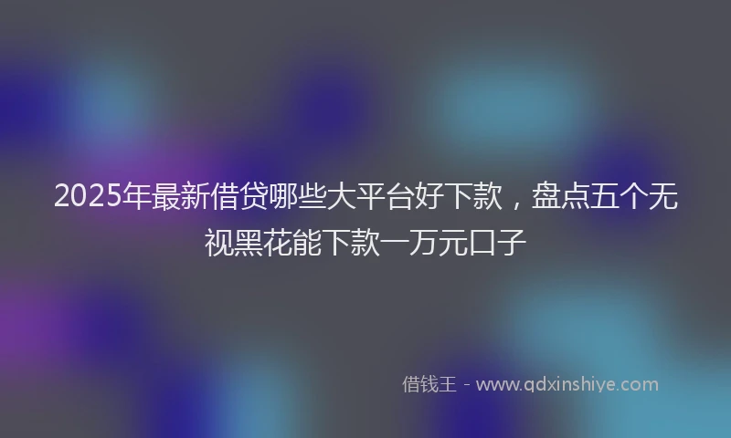 2025年最新借贷哪些大平台好下款，盘点五个无视黑花能下款一万元口子