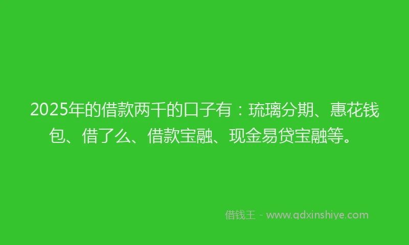 2025年的借款两千的口子有：琉璃分期、惠花钱包、借了么、借款宝融、现金易贷宝融等。