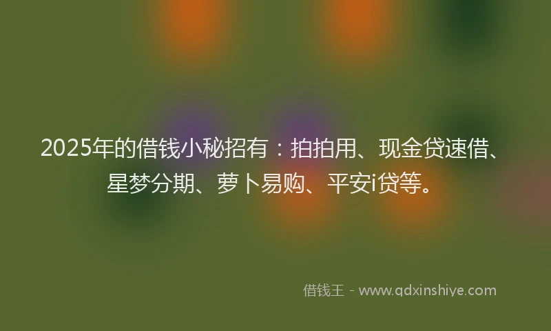 2025年的借钱小秘招有：拍拍用、现金贷速借、星梦分期、萝卜易购、平安i贷等。