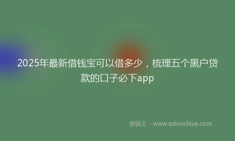 2025年最新借钱宝可以借多少，梳理五个黑户贷款的口子必下app