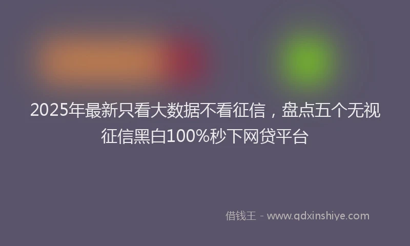 2025年最新只看大数据不看征信，盘点五个无视征信黑白100%秒下网贷平台