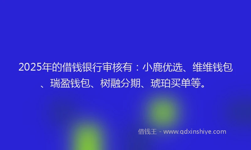 2025年的借钱银行审核有：小鹿优选、维维钱包、瑞盈钱包、树融分期、琥珀买单等。