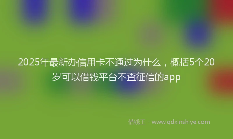 2025年最新办信用卡不通过为什么，概括5个20岁可以借钱平台不查征信的app