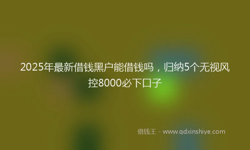 2025年最新借钱黑户能借钱吗，归纳5个无视风控8000必下口子