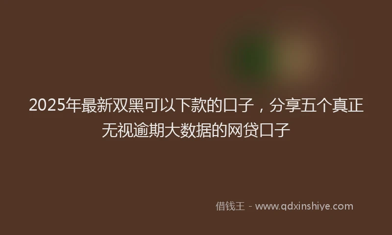 2025年最新双黑可以下款的口子，分享五个真正无视逾期大数据的网贷口子