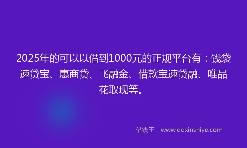 2025年的可以以借到1000元的正规平台有：钱袋速贷宝、惠商贷、飞融金、借款宝速贷融、唯品花取现等。