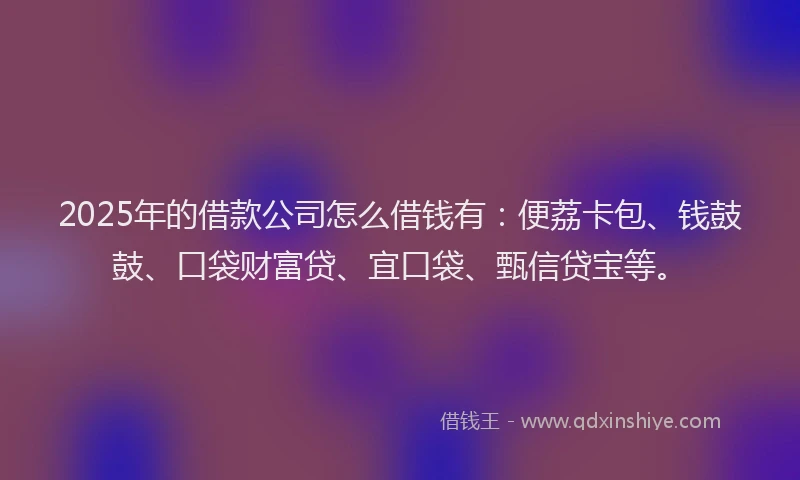 2025年的借款公司怎么借钱有：便荔卡包、钱鼓鼓、口袋财富贷、宜口袋、甄信贷宝等。