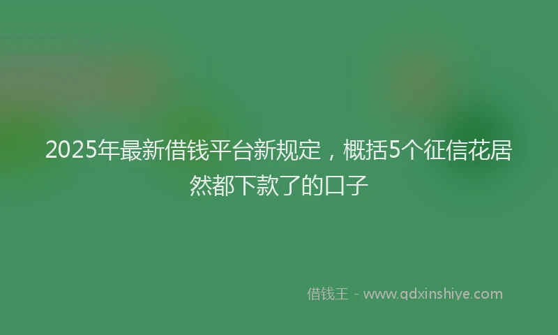 2025年最新借钱平台新规定，概括5个征信花居然都下款了的口子