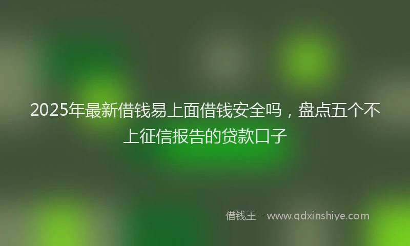 2025年最新借钱易上面借钱安全吗，盘点五个不上征信报告的贷款口子