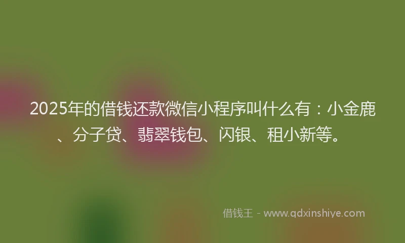 2025年的借钱还款微信小程序叫什么有：小金鹿、分子贷、翡翠钱包、闪银、租小新等。