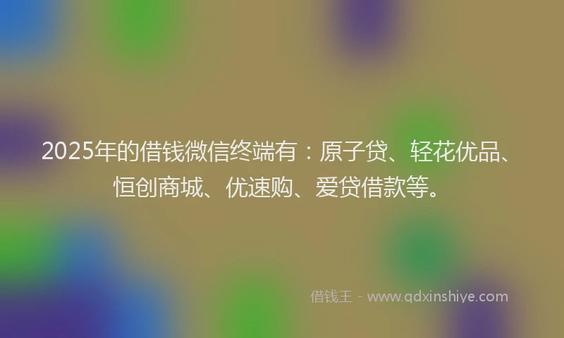 2025年的借钱微信终端有：原子贷、轻花优品、恒创商城、优速购、爱贷借款等。