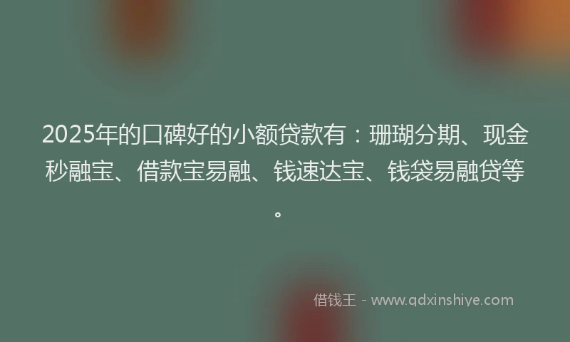 2025年的口碑好的小额贷款有：珊瑚分期、现金秒融宝、借款宝易融、钱速达宝、钱袋易融贷等。