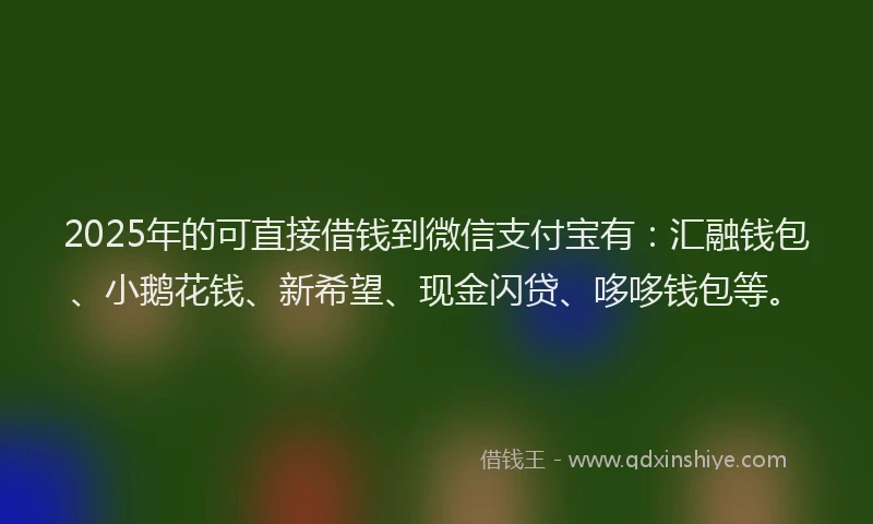 2025年的可直接借钱到微信支付宝有：汇融钱包、小鹅花钱、新希望、现金闪贷、哆哆钱包等。